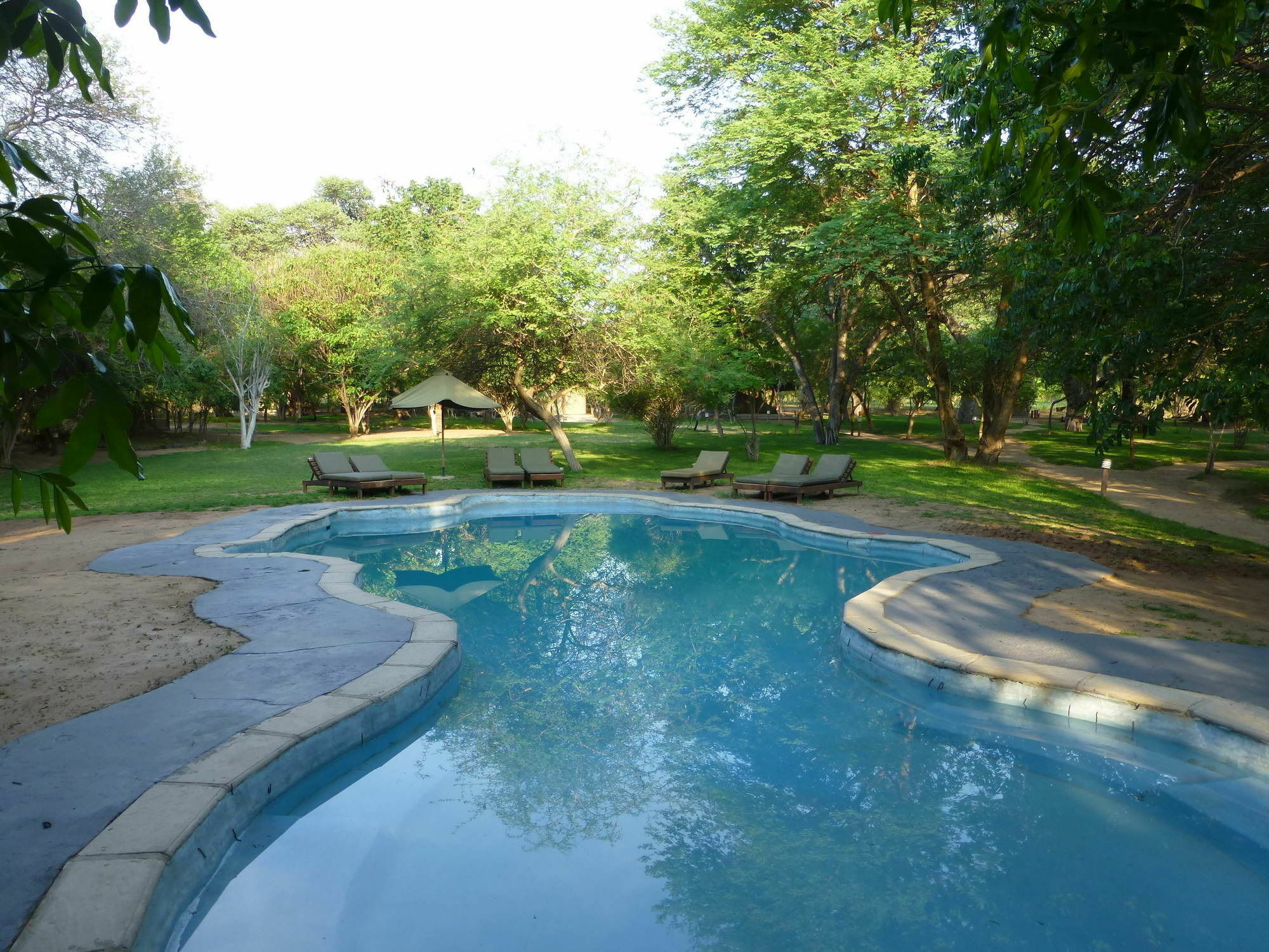 Elephant Valley Lodge Kasane Luaran gambar